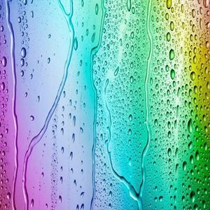 Meet your Posher, Tasha